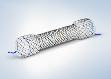 HANAROSTENT™ Esophagus Line of Metal Stents
